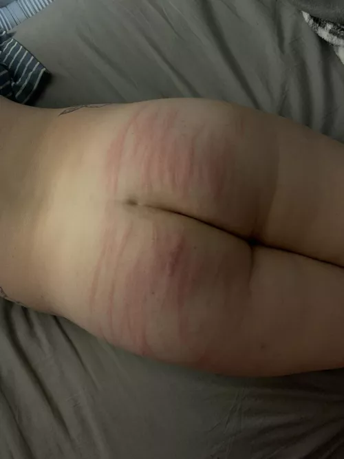 Holiday [F]estivities