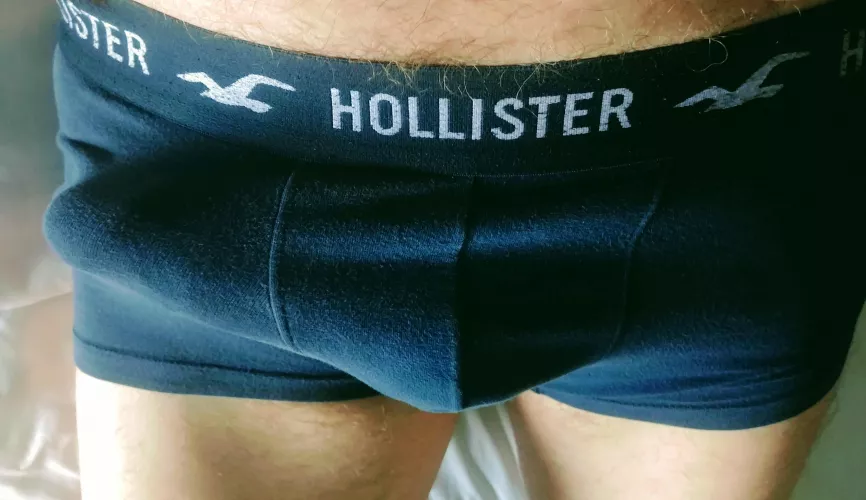 Hollister bulge
