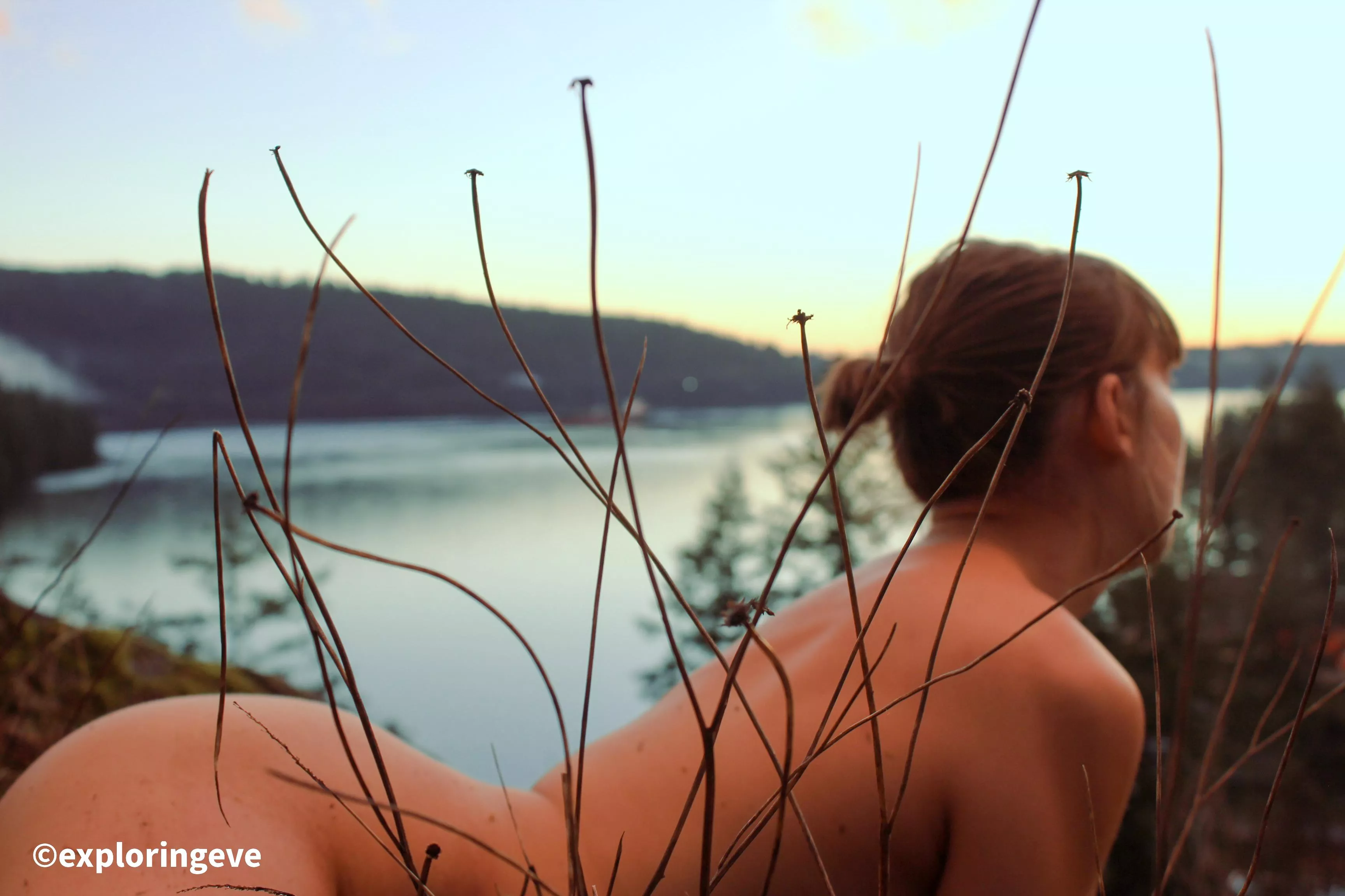 Home for me is where the sea meets the trees