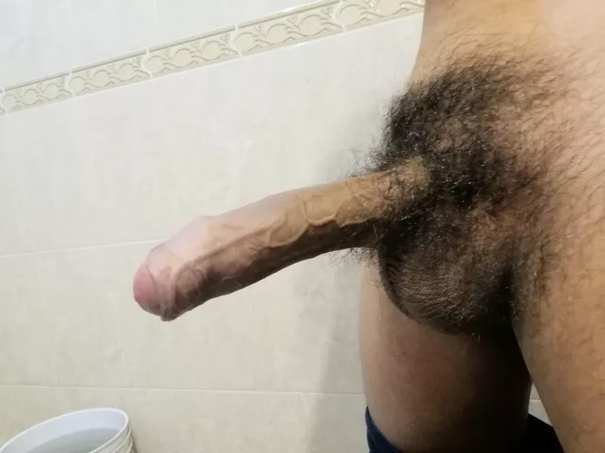 Honest rate