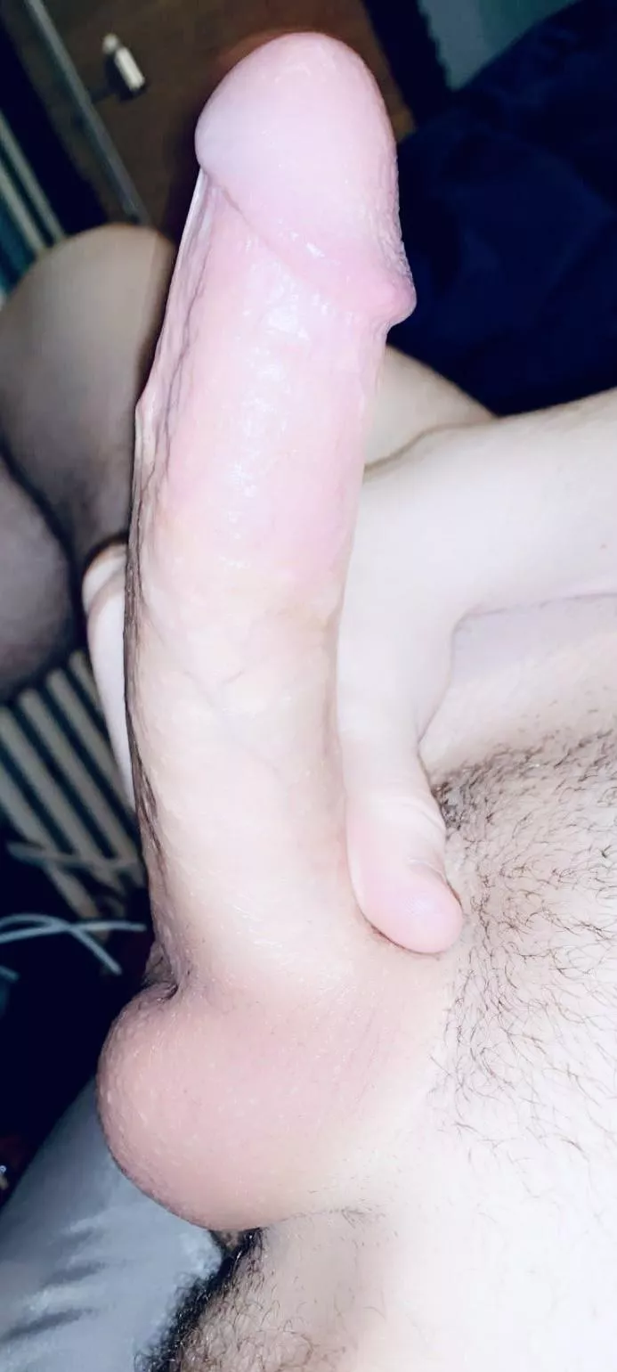 Honest Ratings / Trades 🥰