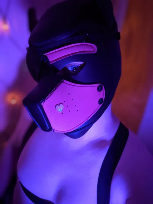 Honestly I really like the way I look in this picture ! My pup hood is definitely a big confidence boost.