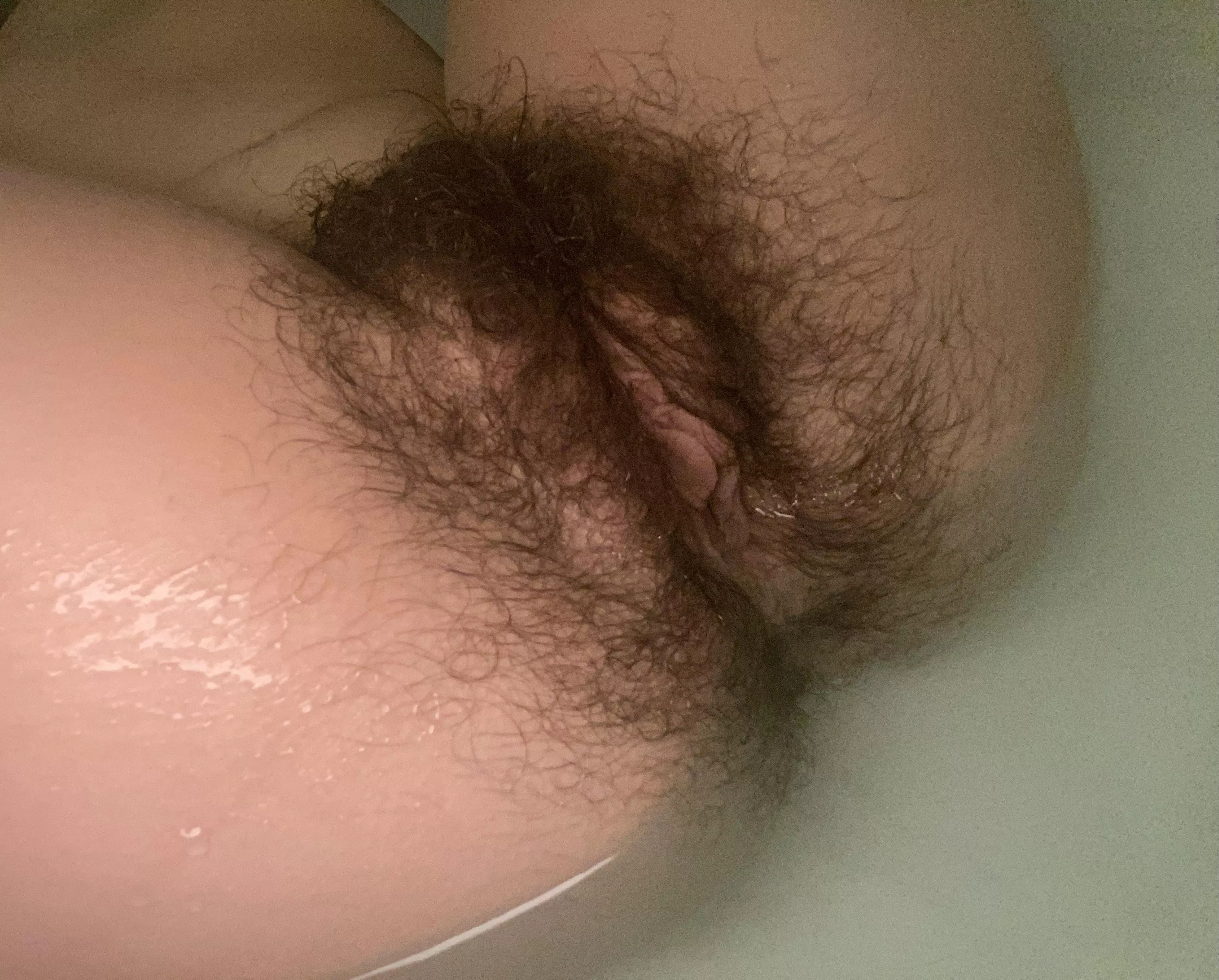 Hope a photo of my bush is appreciated here :) Hope a photo of my bush is appreciated here :)