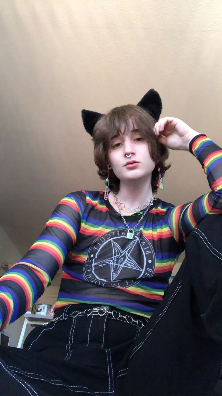 hope everyone had a very meowy christmas! :3c