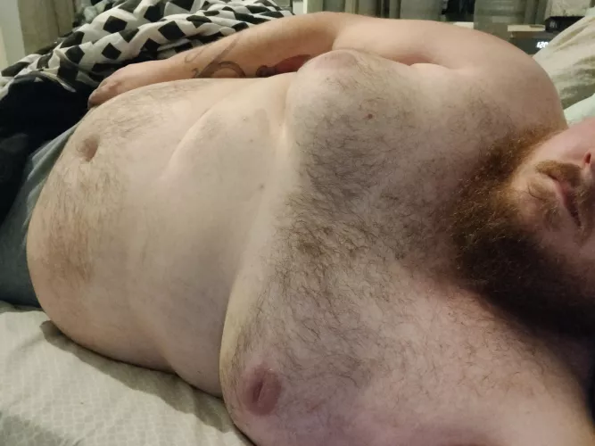 Hope you don't mind something a little less wild