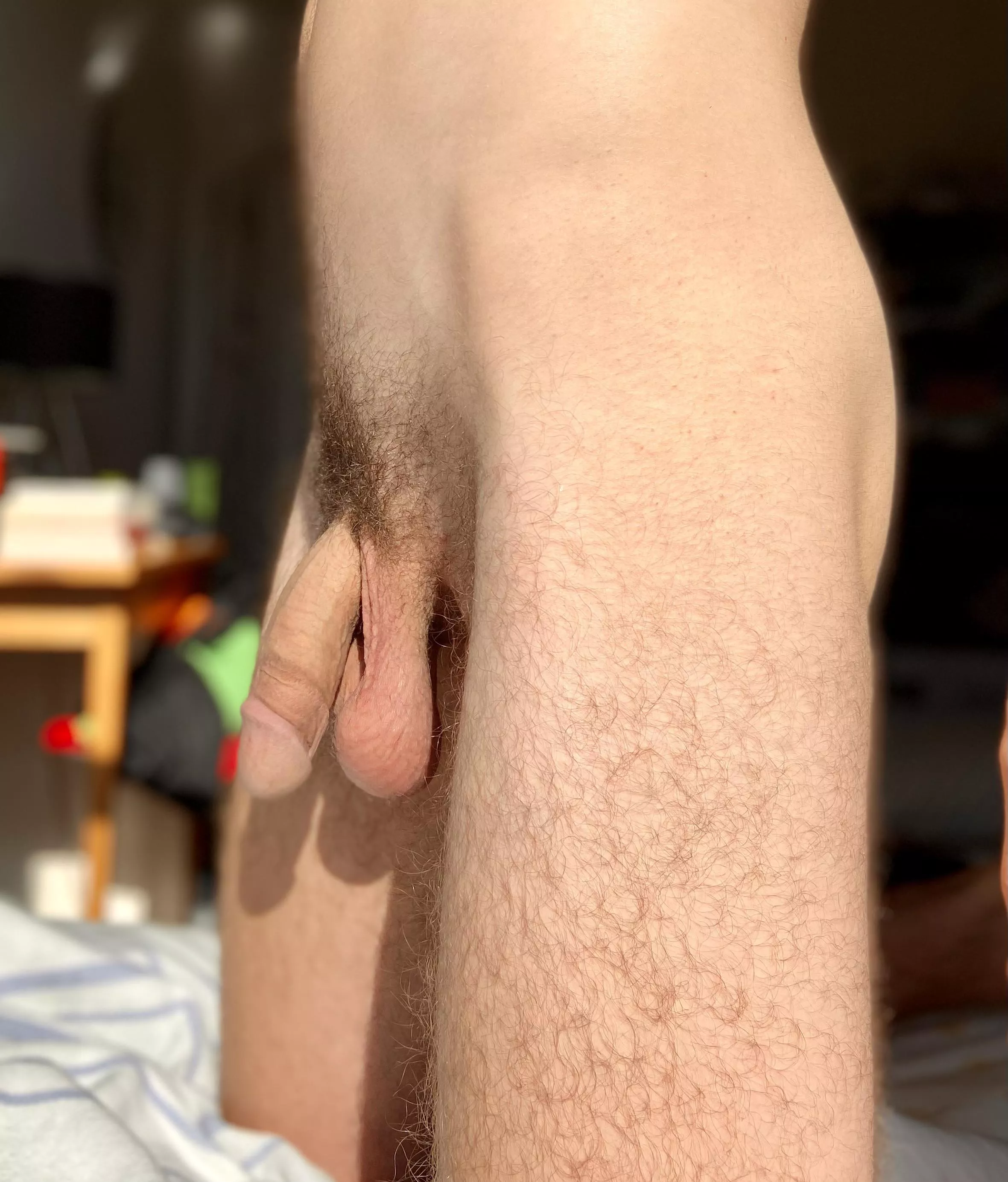 Hoping the neighbors didn’t see me take this