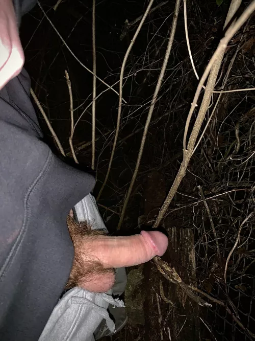 Hoping to meet someone back in this alley