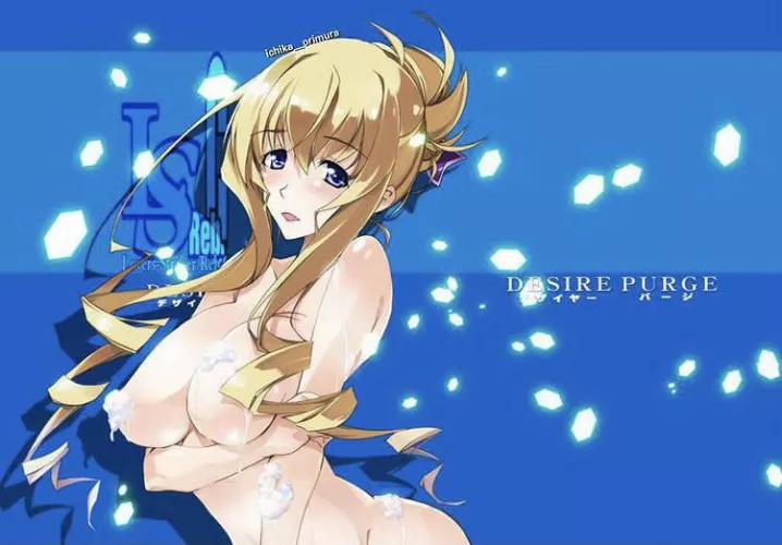 Hot body (infinite stratos)