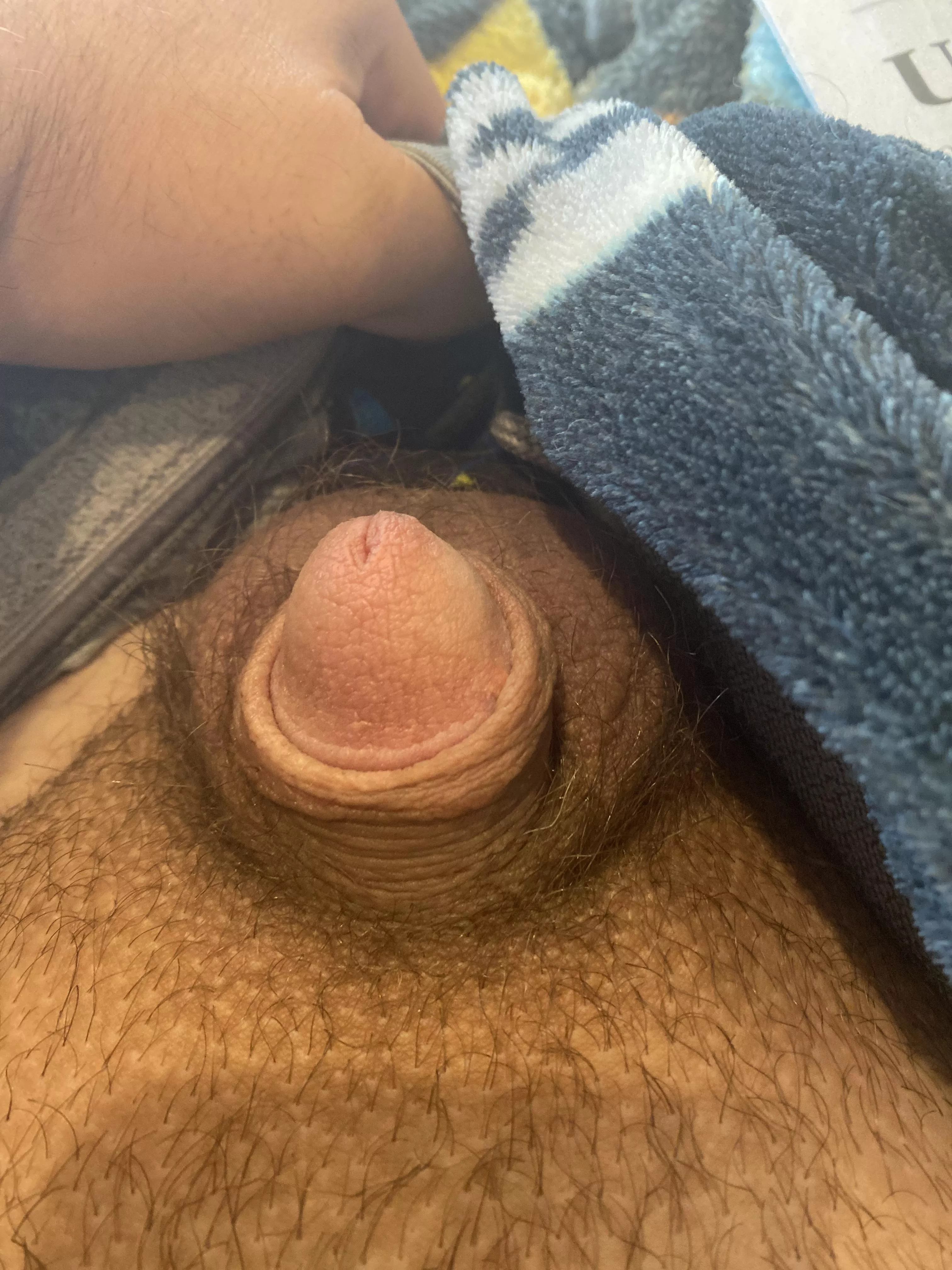 Hot dad with a tiny micropenis (45). Hot dad with a tiny micropenis (45).