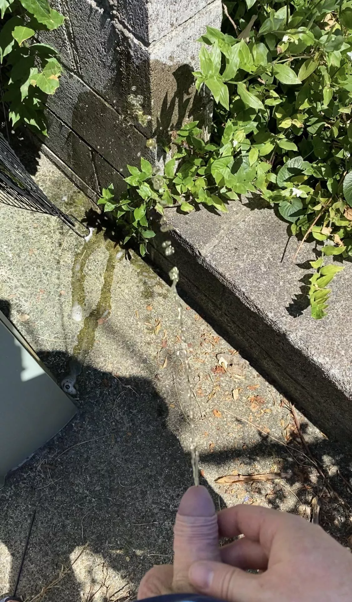 Hot day and a warm (golden) stream