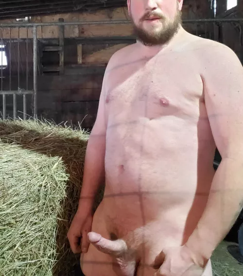 How about a roll in the hay?