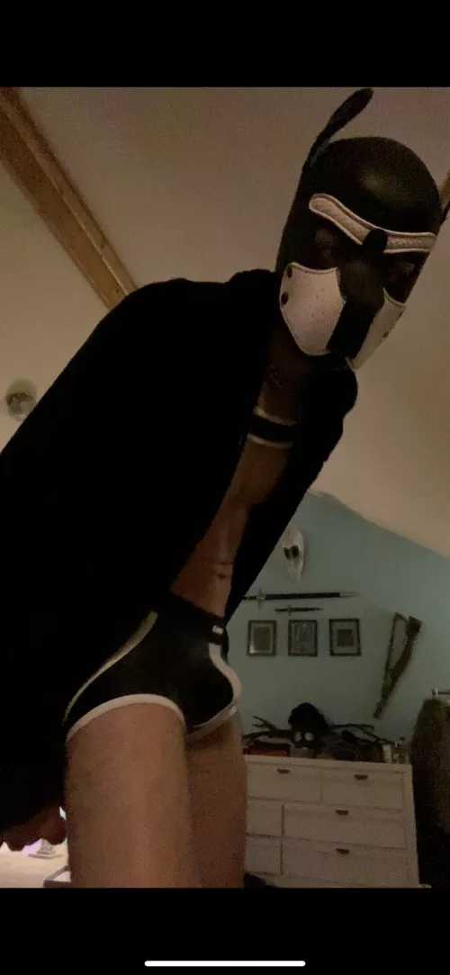 How are all you pups doing today? Aruff 🐶