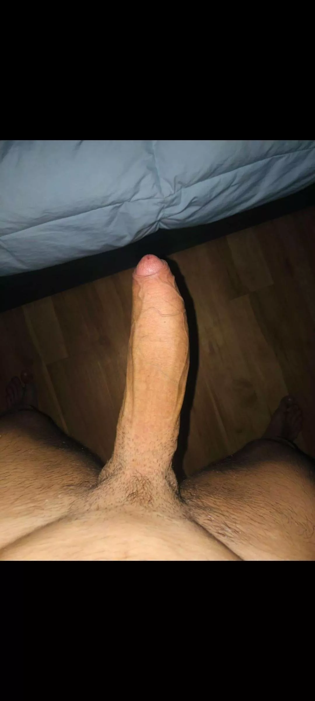How big do you think it is? How big do you think it is?