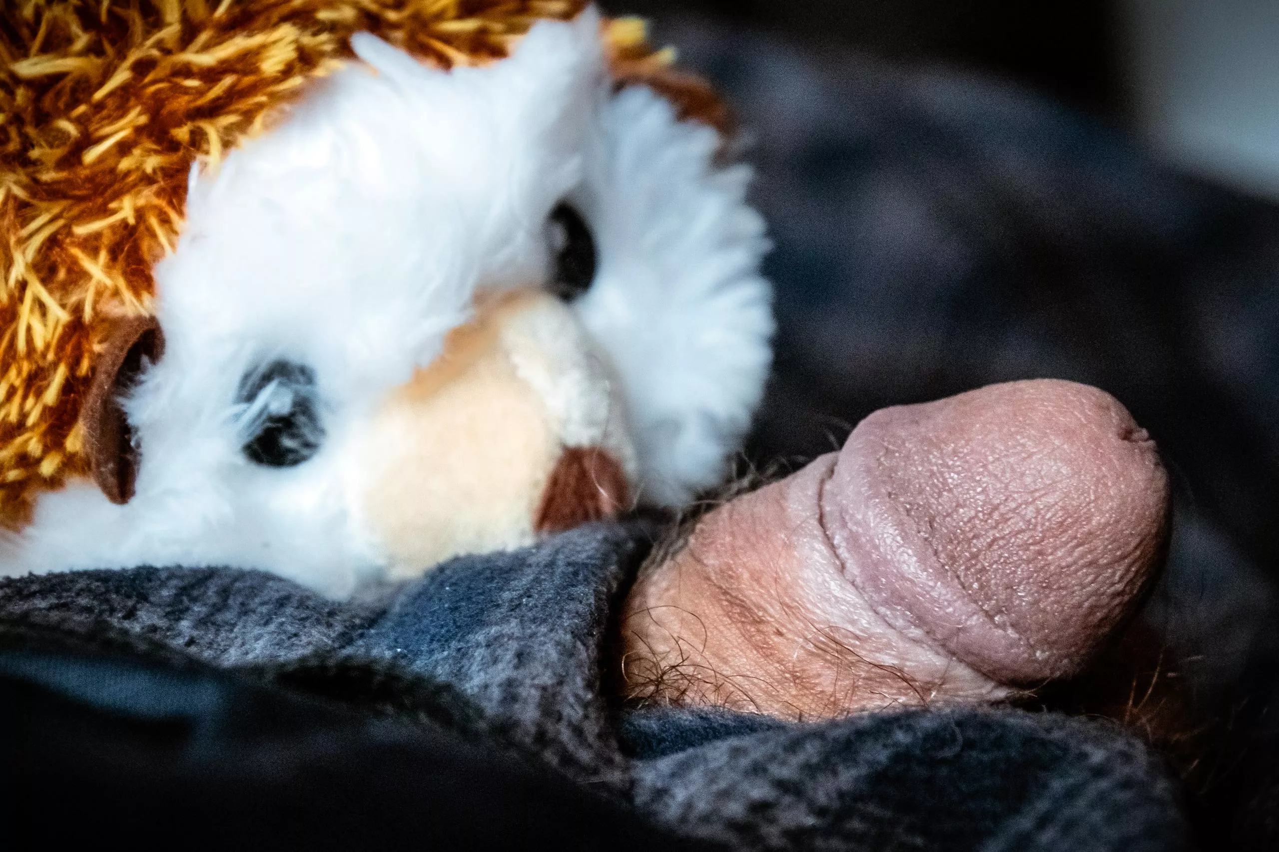 How cute is thus little guy? [31]