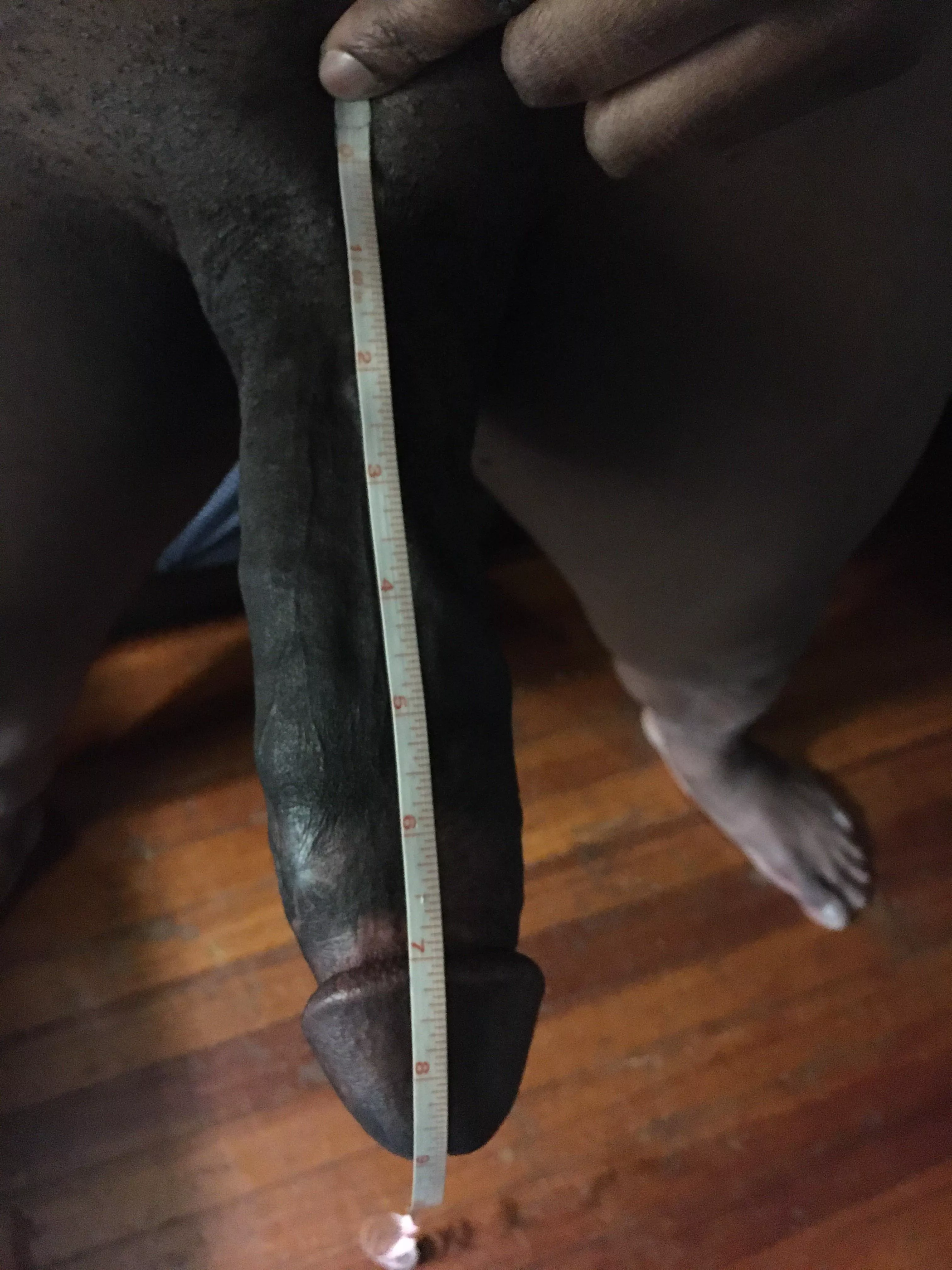 How do I measure up? šā¤ļø How do I measure up? šā¤ļø