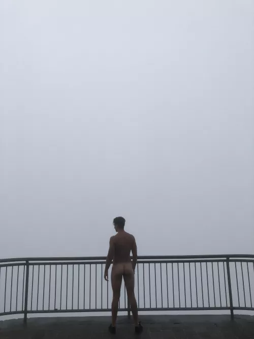 How do we like the view?