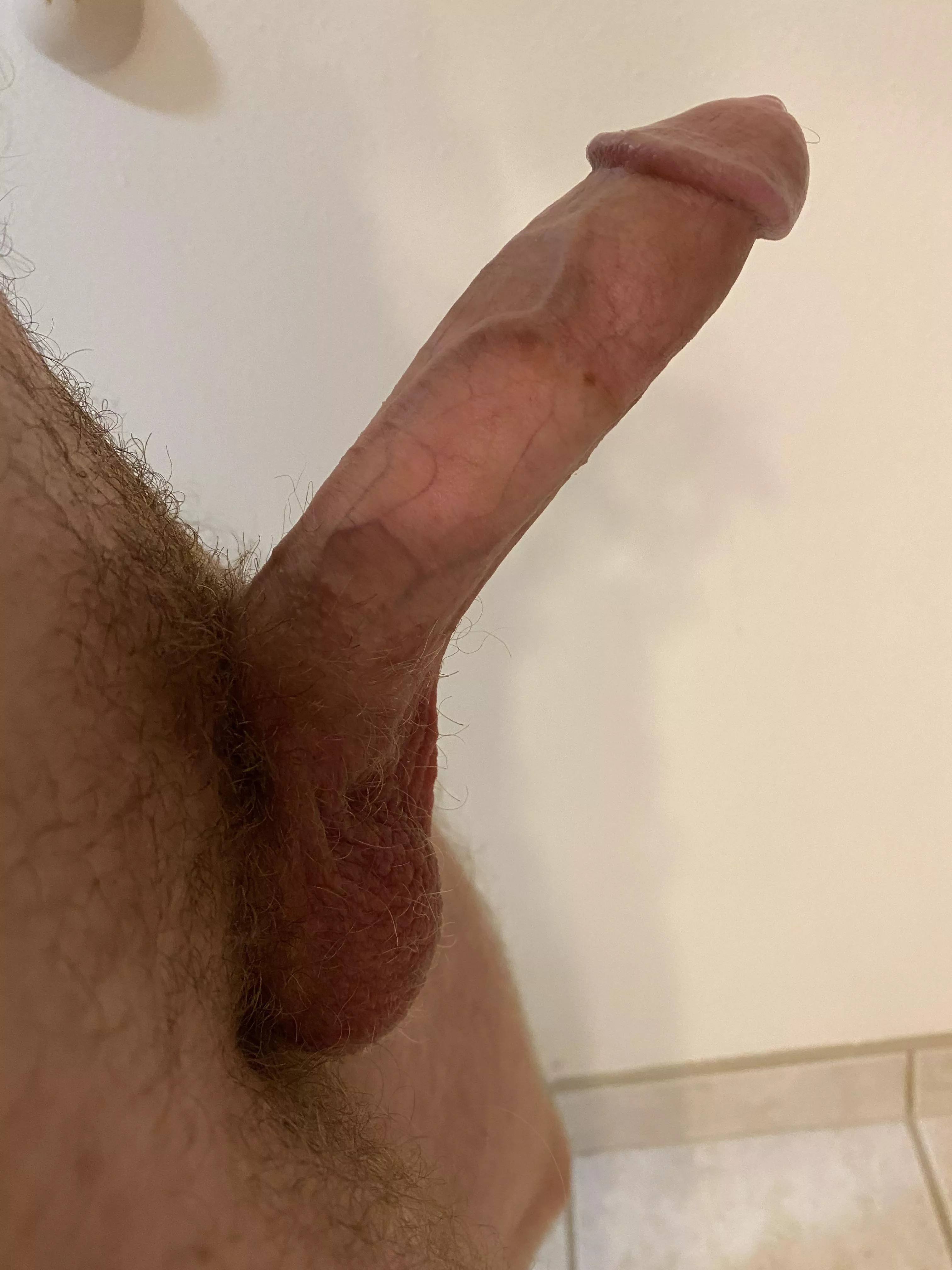 How do you like my 7.5 inch dick? How do you like my 7.5 inch dick?