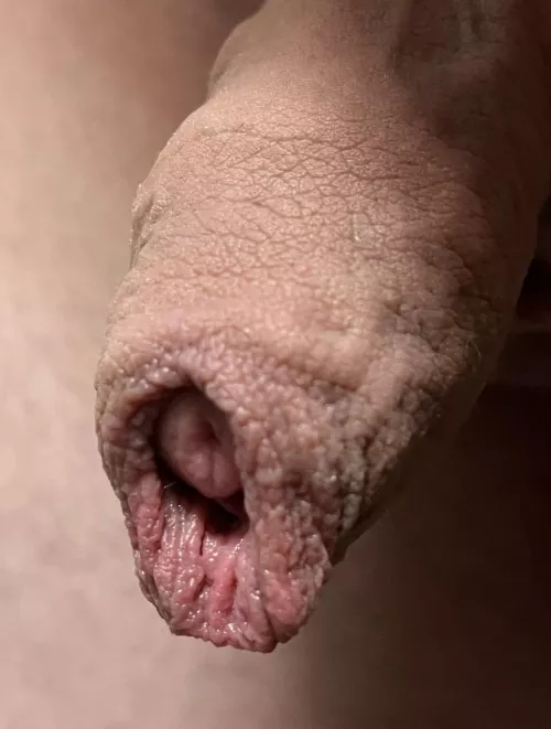 How do you like my foreskin in 4K?