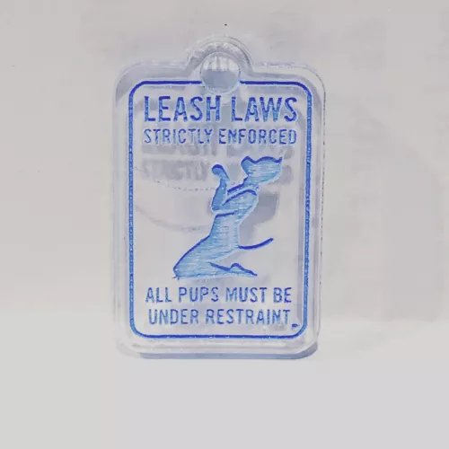 How do you like the pup tag with the blue? Do you think every pup should be leashed?