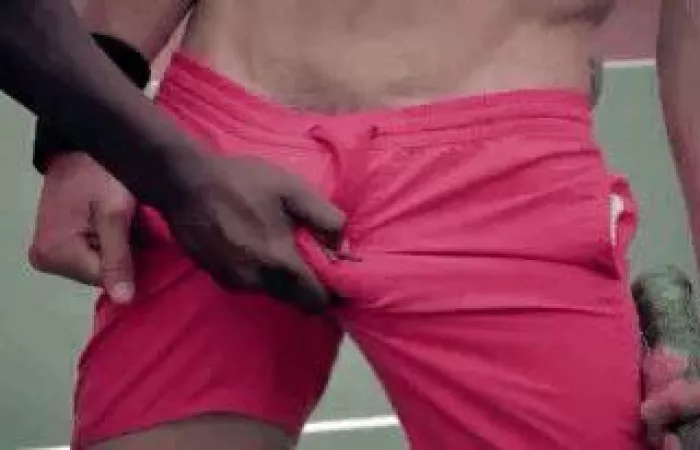 How he and his buddies greet me lately..