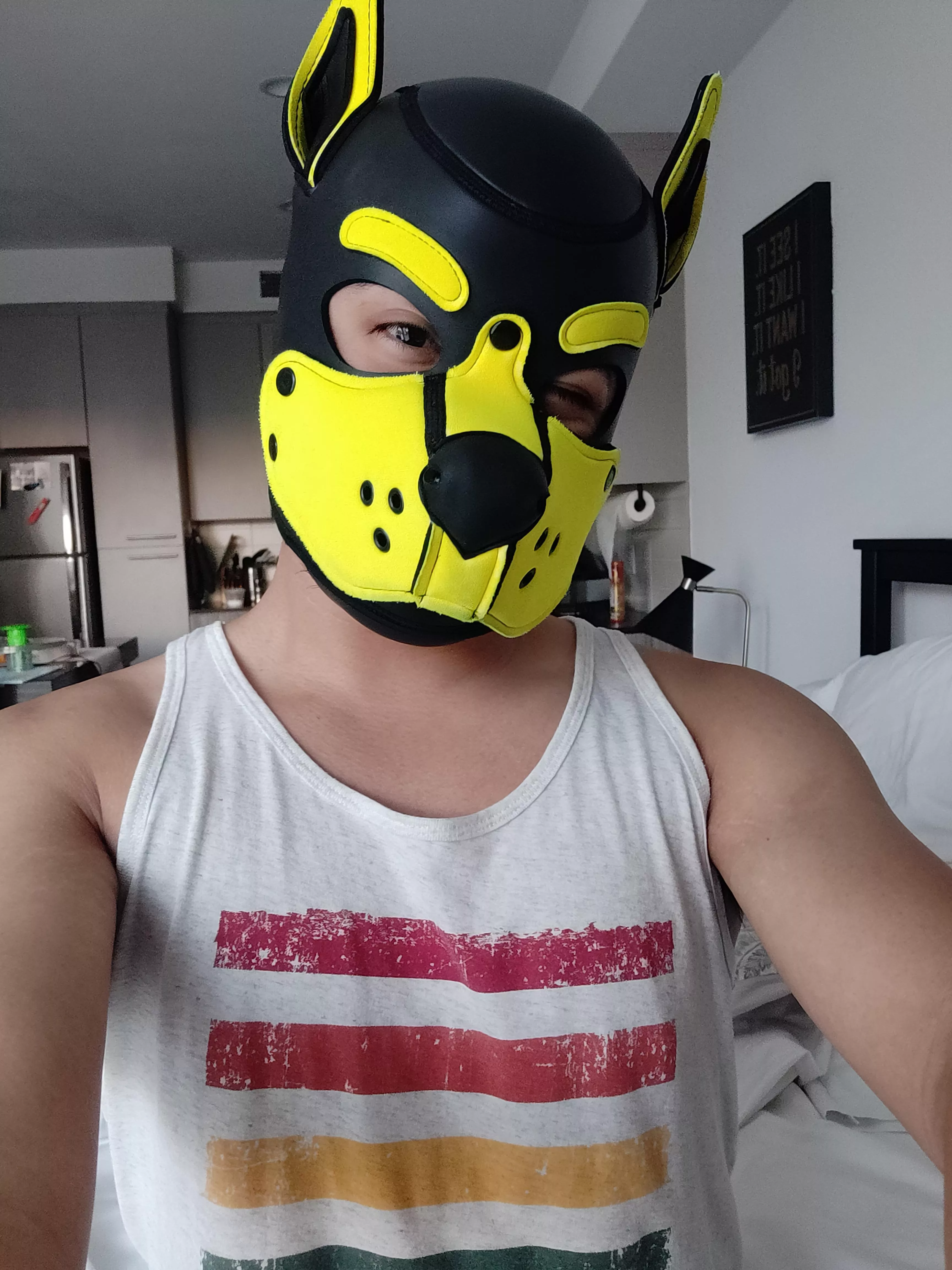 How is it only Tuesday?!?!?!? Had to take a little pup break before getting back to work~