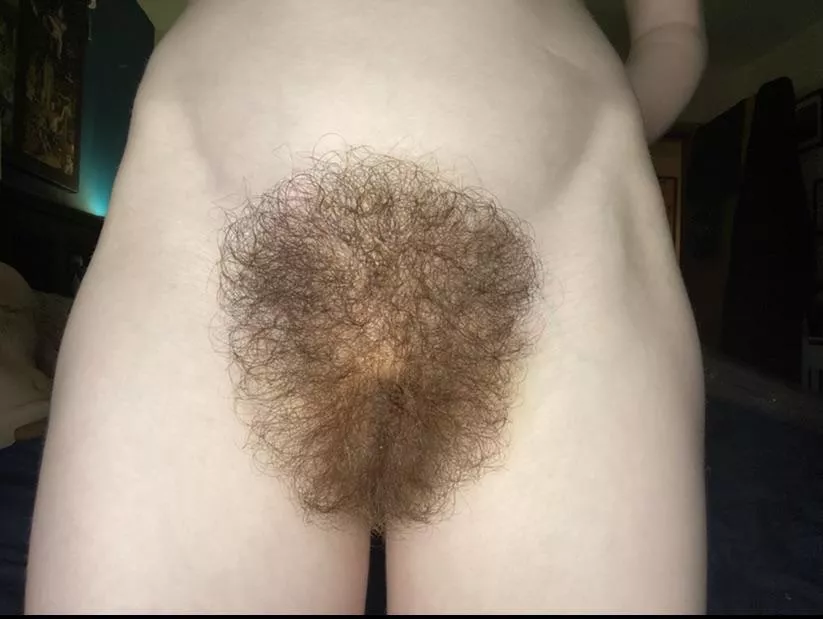 How long do you think my pubes are? How long do you think my pubes are?