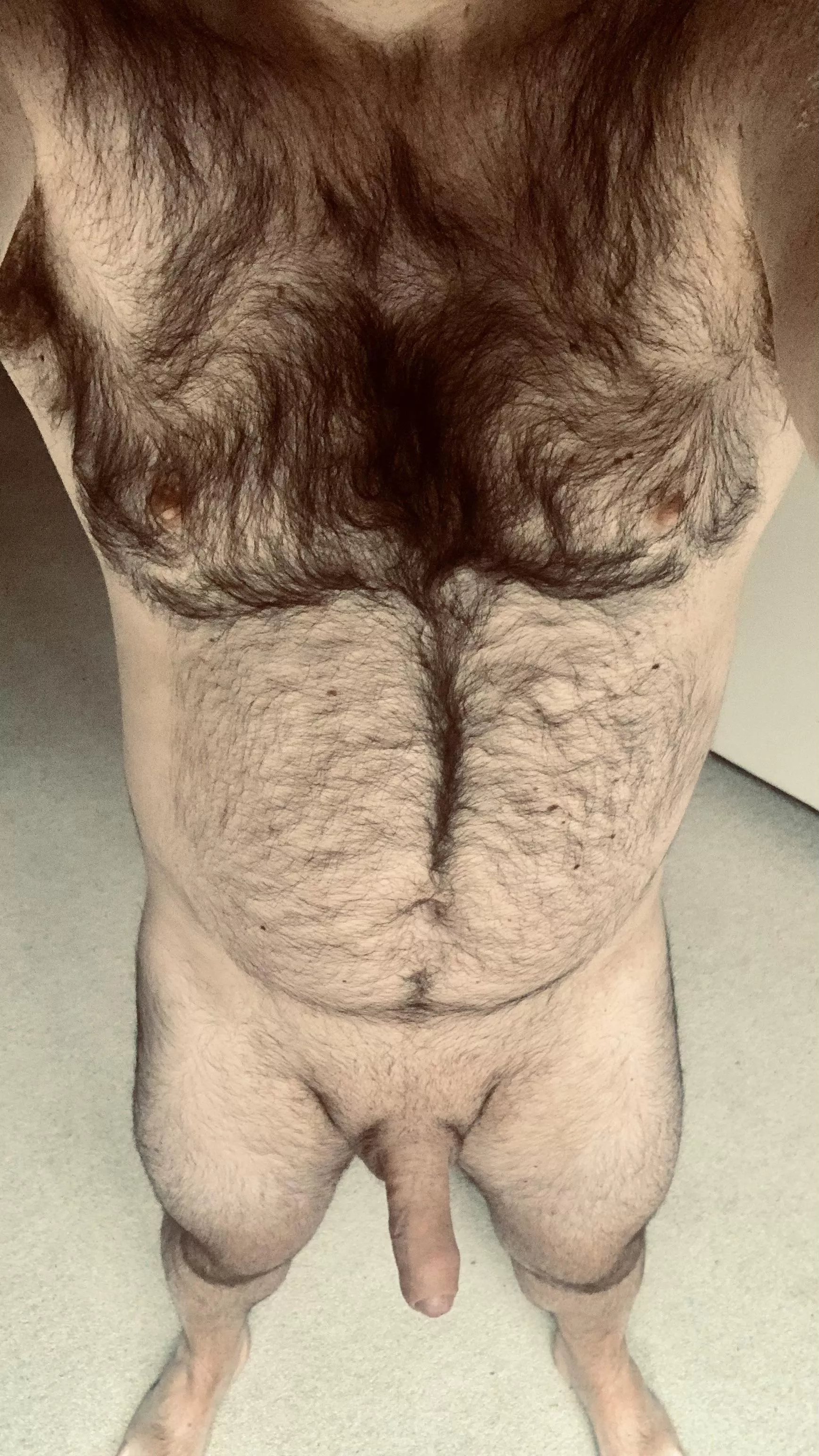 How would you like to collar and own me?