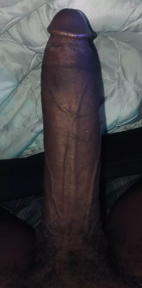 How would you serve this bbc?