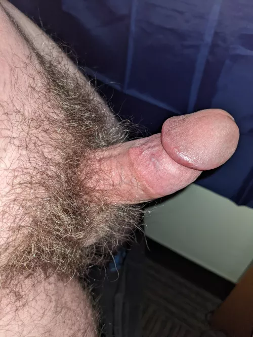 How's my bush?