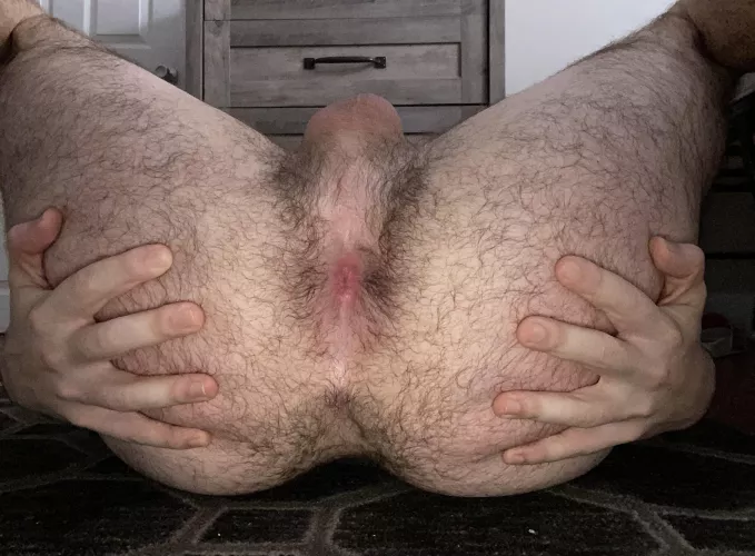 How’s my spread hairy man ass look?