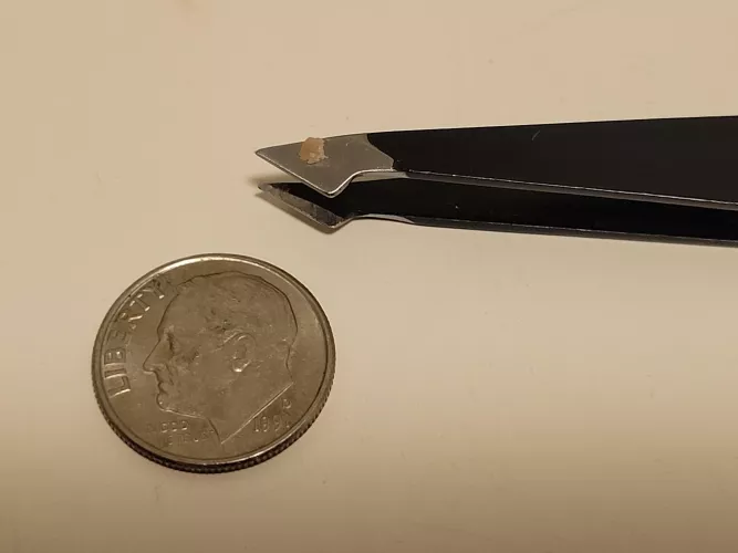 Husband finally let me pop this off his nose! Not too sure if it's a black head or just a dirty pore Been there for about a month. Dime for size.