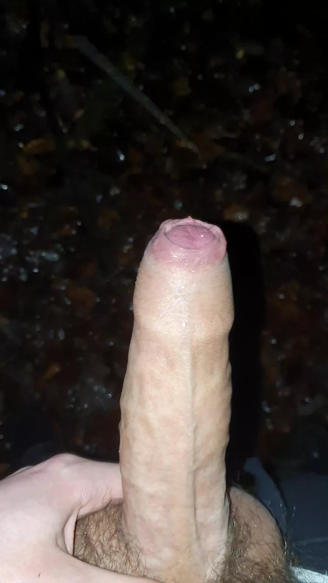 I almost got caught taking this pic