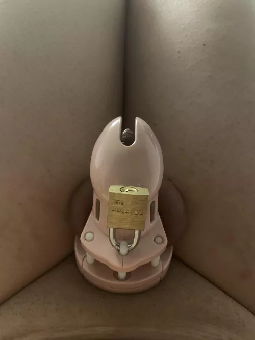 I am all locked up maybe for ever and I couldn’t be more happier 😊