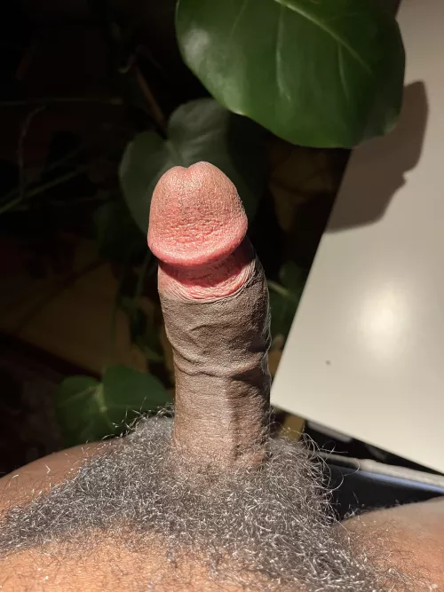 I call this an ABC (Average Black Cock)