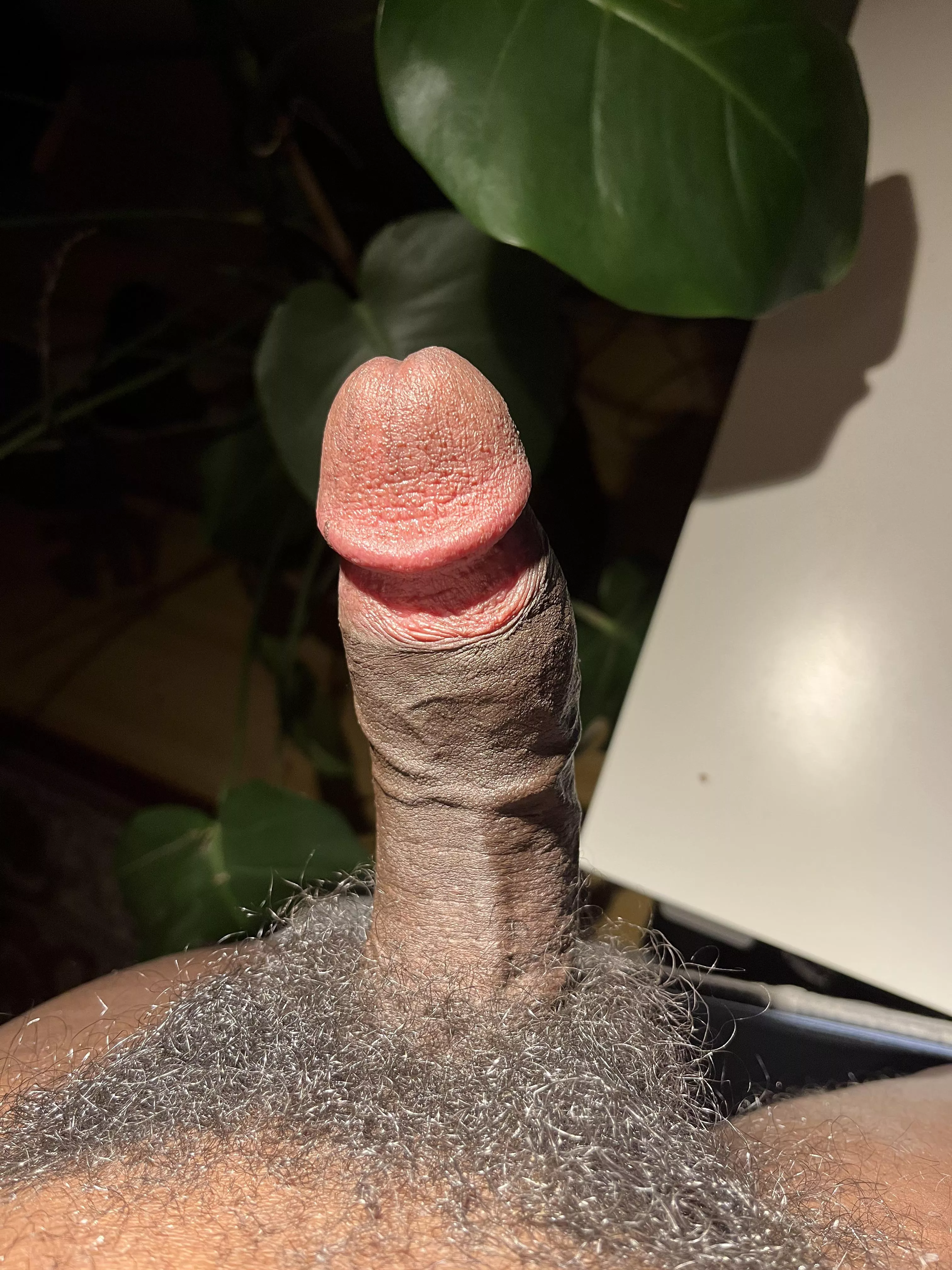 I call this an ABC (Average Black Cock)