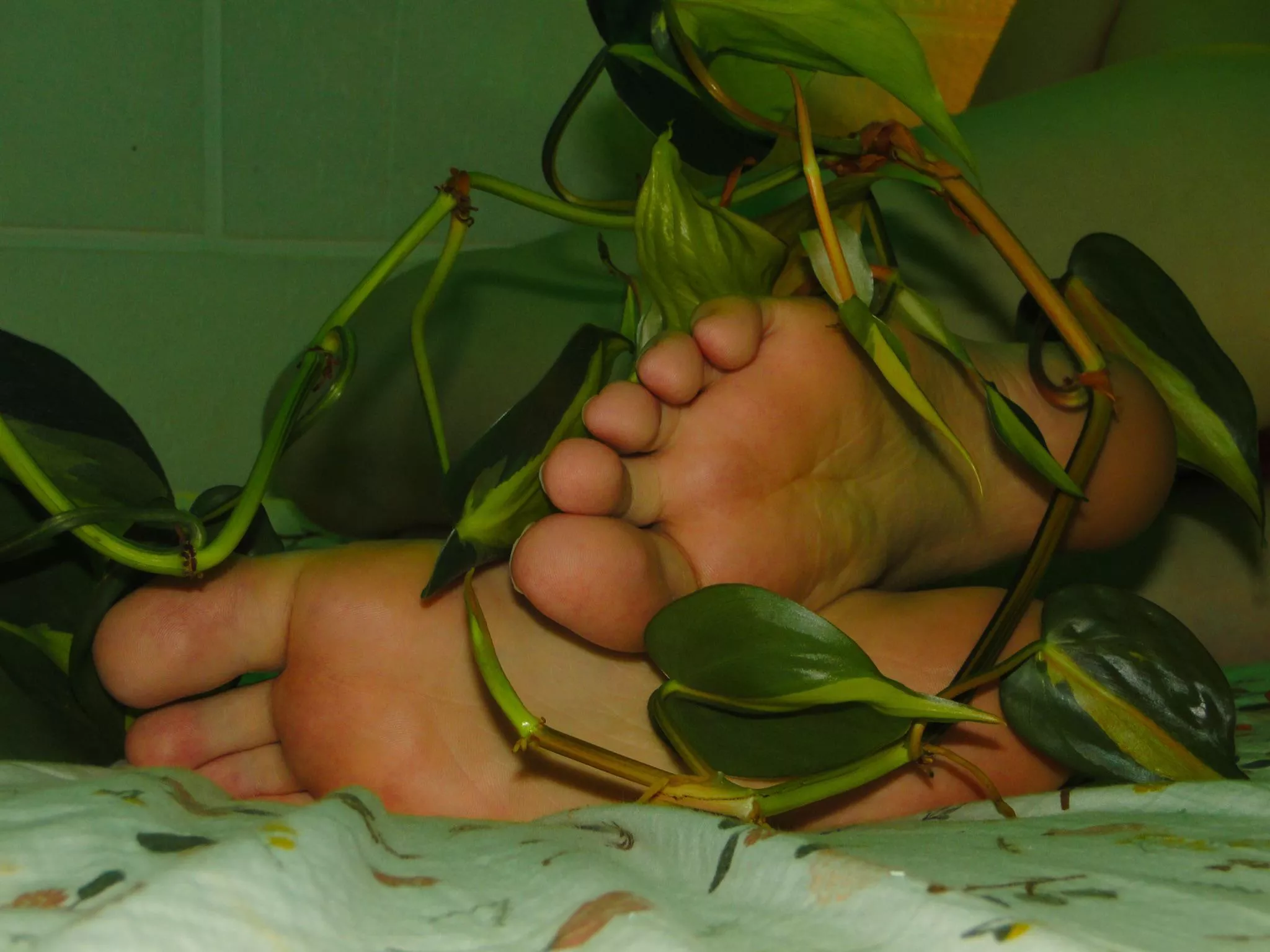 I can be your Poison Ivy 🌿💋