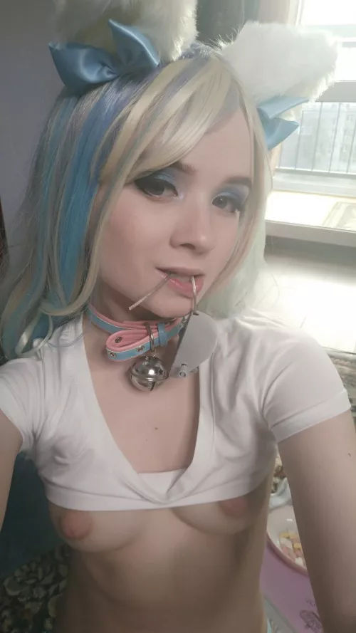 I caught a mouse, master 💙