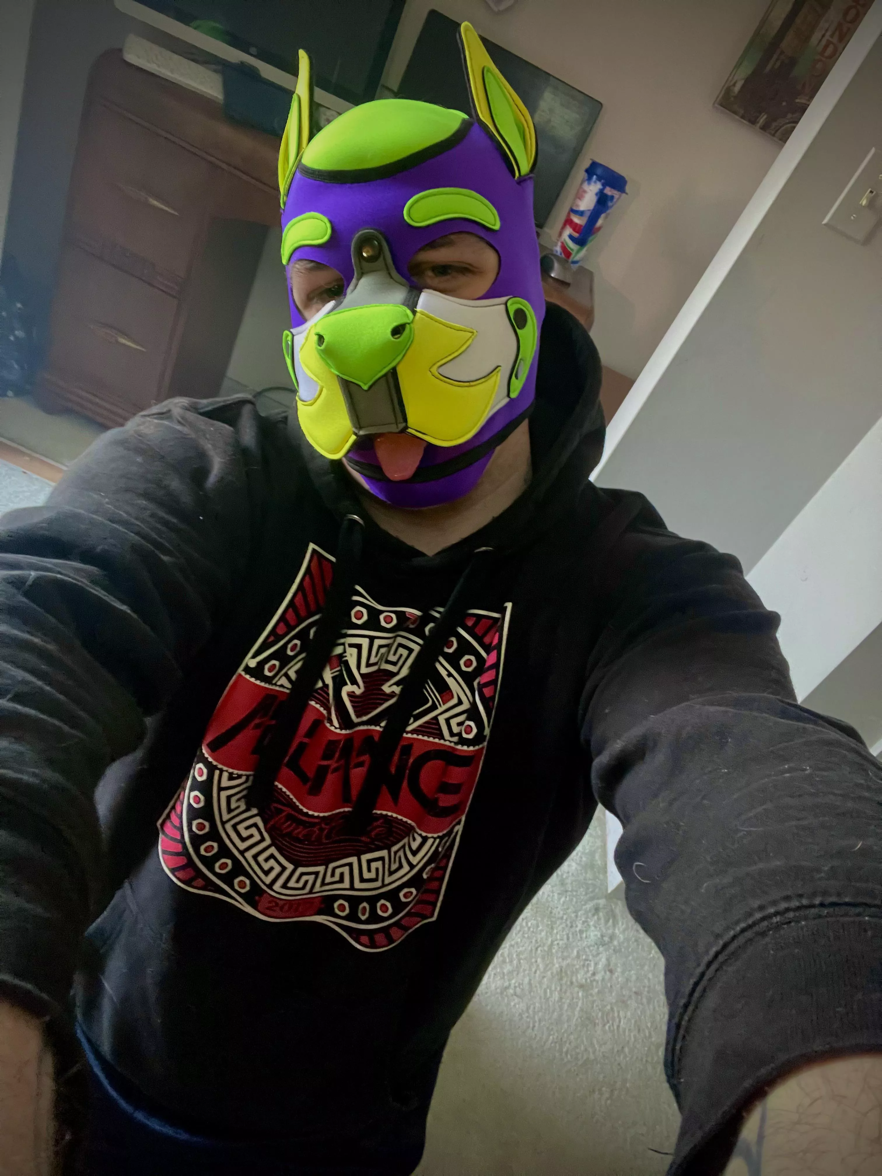 I come begging for cuddles!