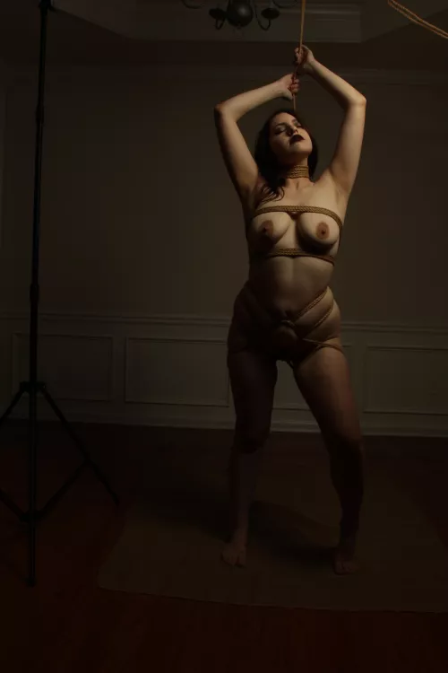 I could use more 😉