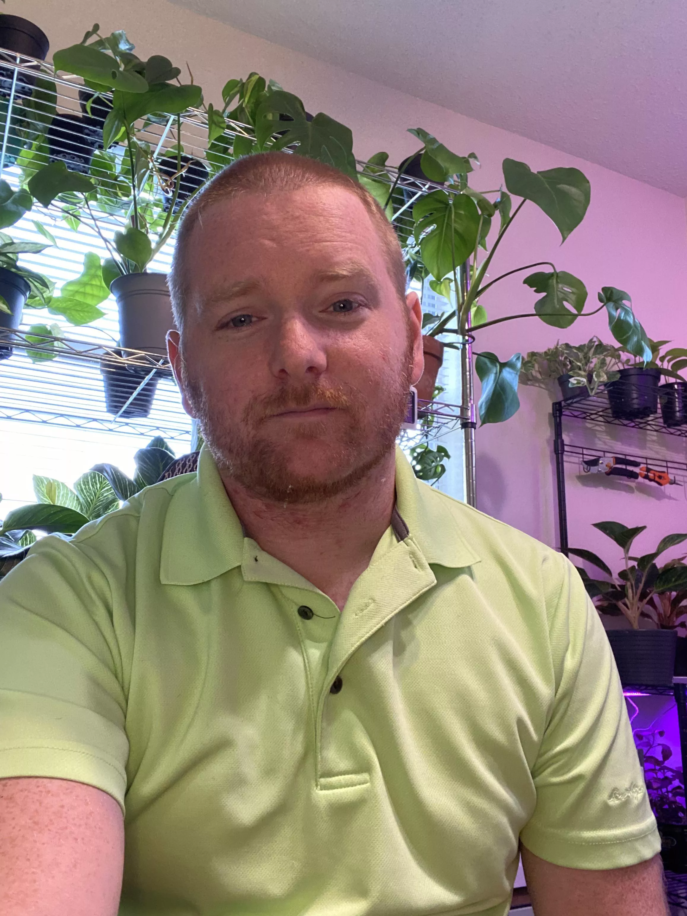 I decided to give myself a buzz cut.