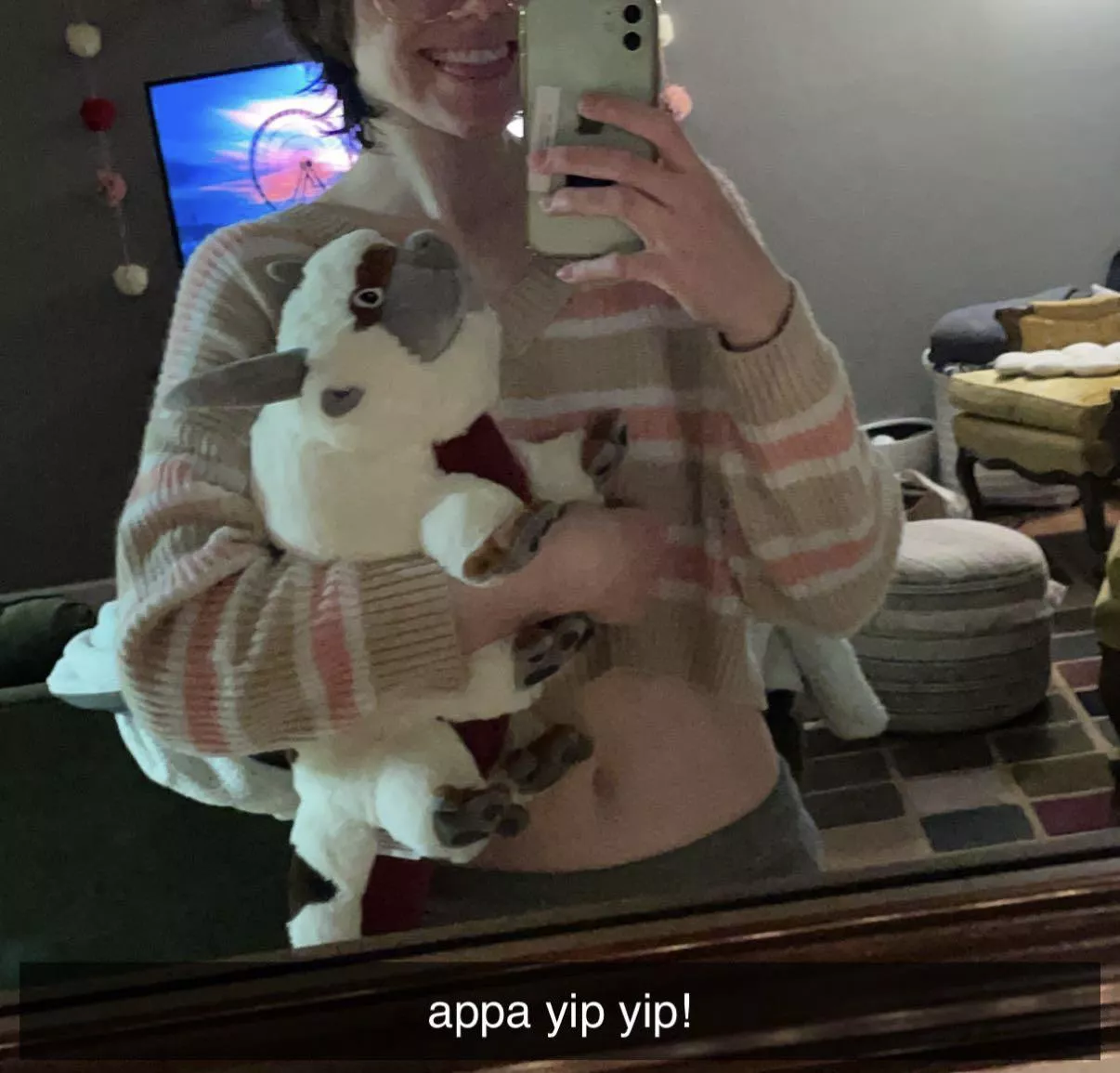 i got a appa plushie!!!! i love him so much he’s so soft😋 time to cuddle with my new friend and watch a movie🥰