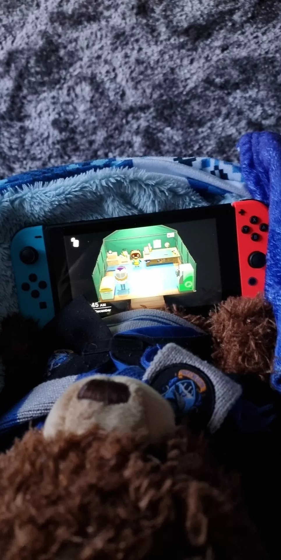 I got a switch yesterday with animal crossing, heres me a Luna playing before work this morning 🥰 I swear i didnt lose track of time and and up being late. 😬