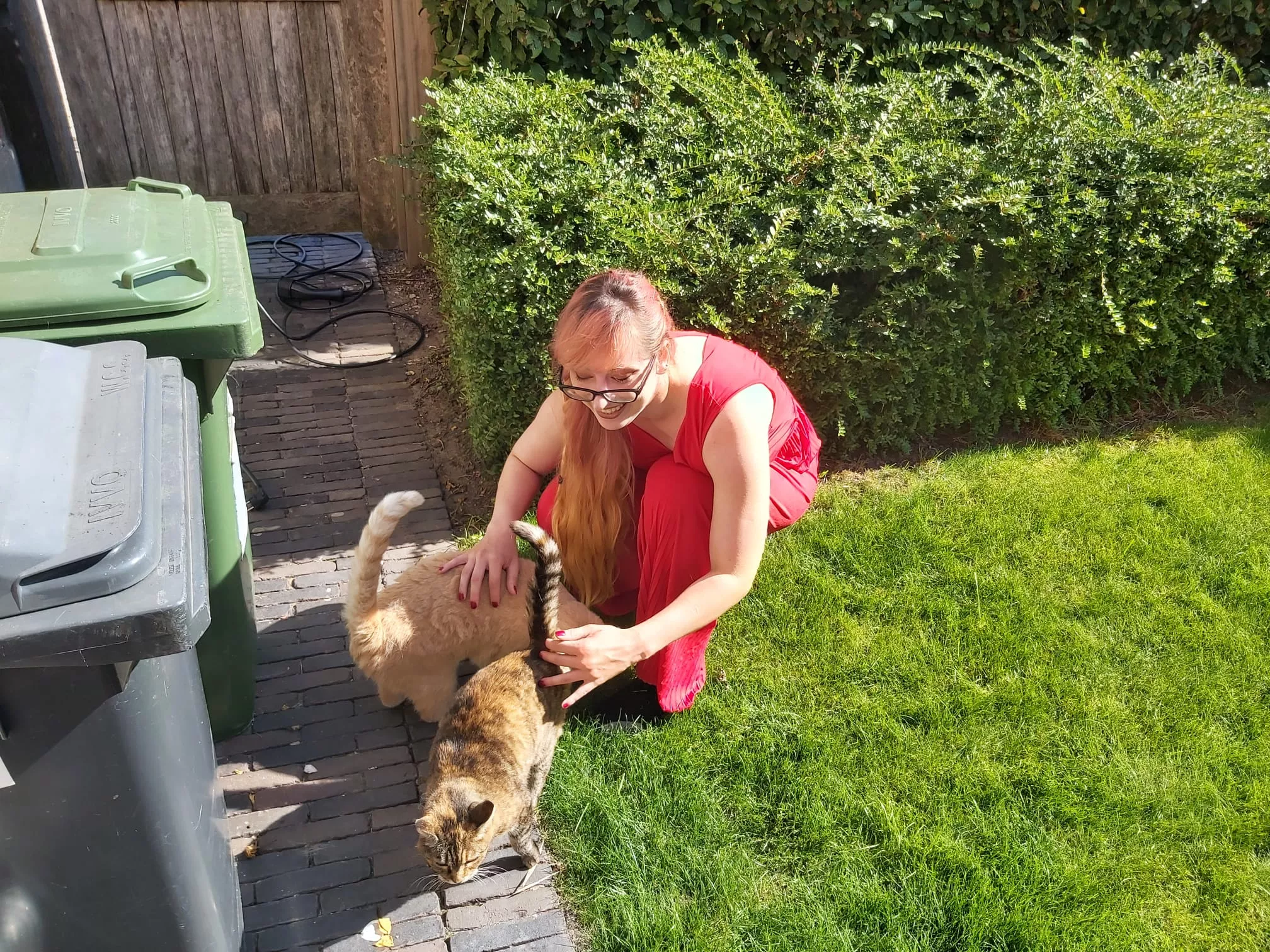 I had the honor of being a bridesmaid this weekend and met these cats before I got to the wedding. Can you feel the love? [F]