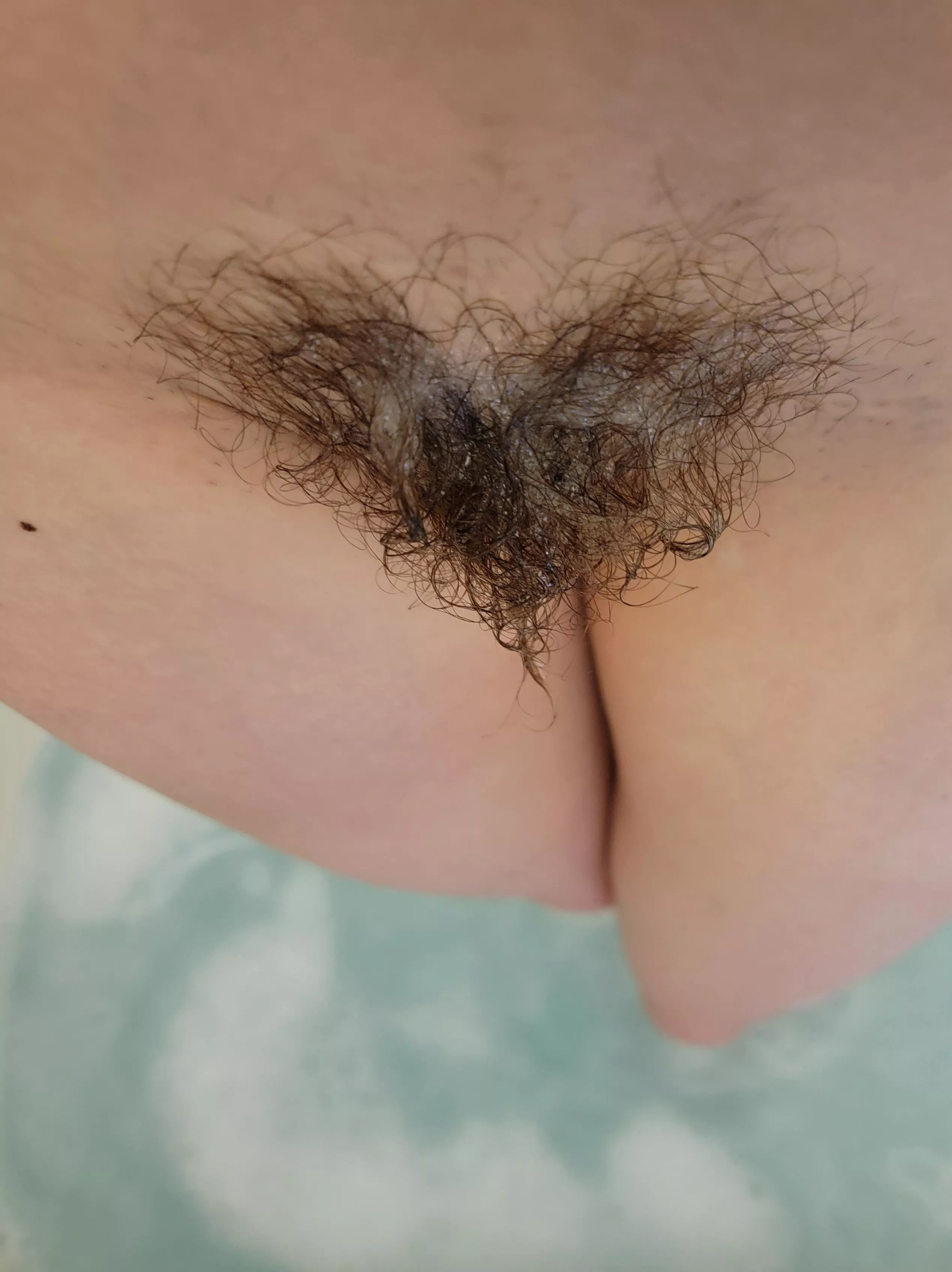 I have a heart-on for my hairy lovers this Vday I have a heart-on for my hairy lovers this Vday