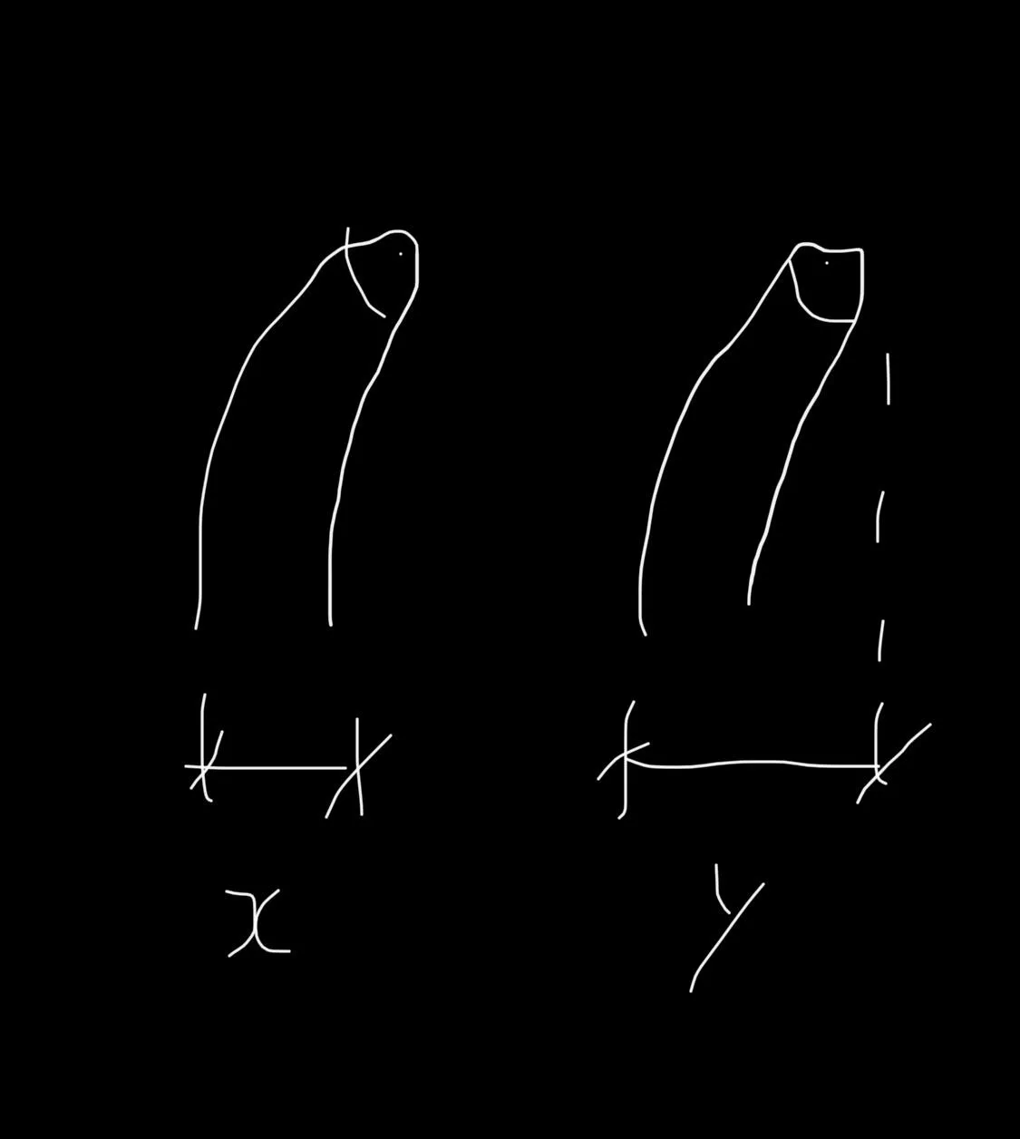 I have a question, if my dick is curved when erect, how wide should my pump be? I understand it should be .25 wider than my penis. but should i use x or y?