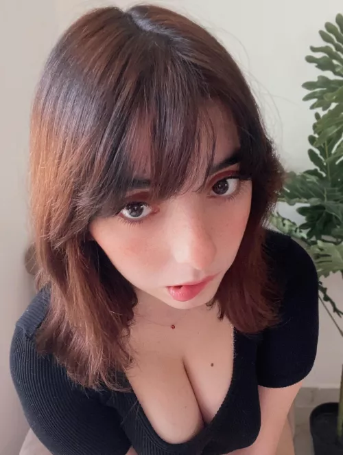 I have freckles almost everywhere, but they particularly like my face