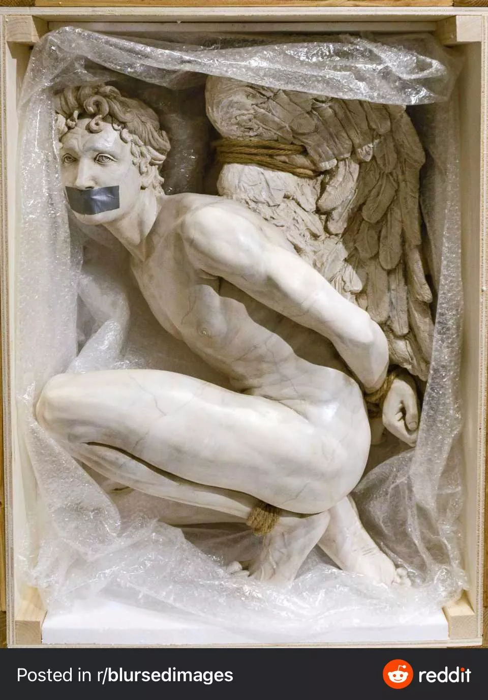 I heard these were popular here…