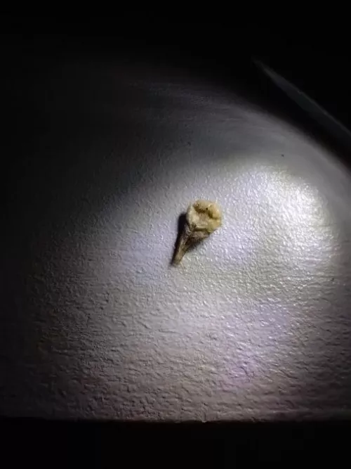 I heard u guys like this kinda thing so I dug it outta the archives! not as impressive as the other bellybutton post :( felt v good when it was out tho :D