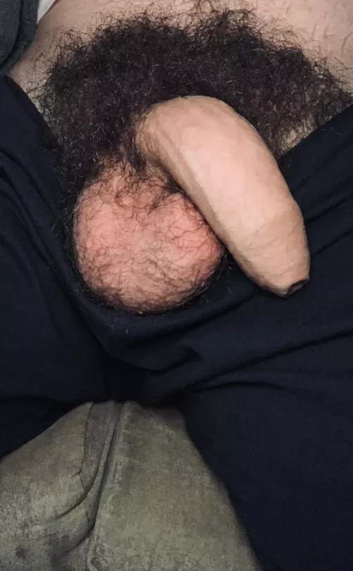 I heard you like hairy! Lick me Dm