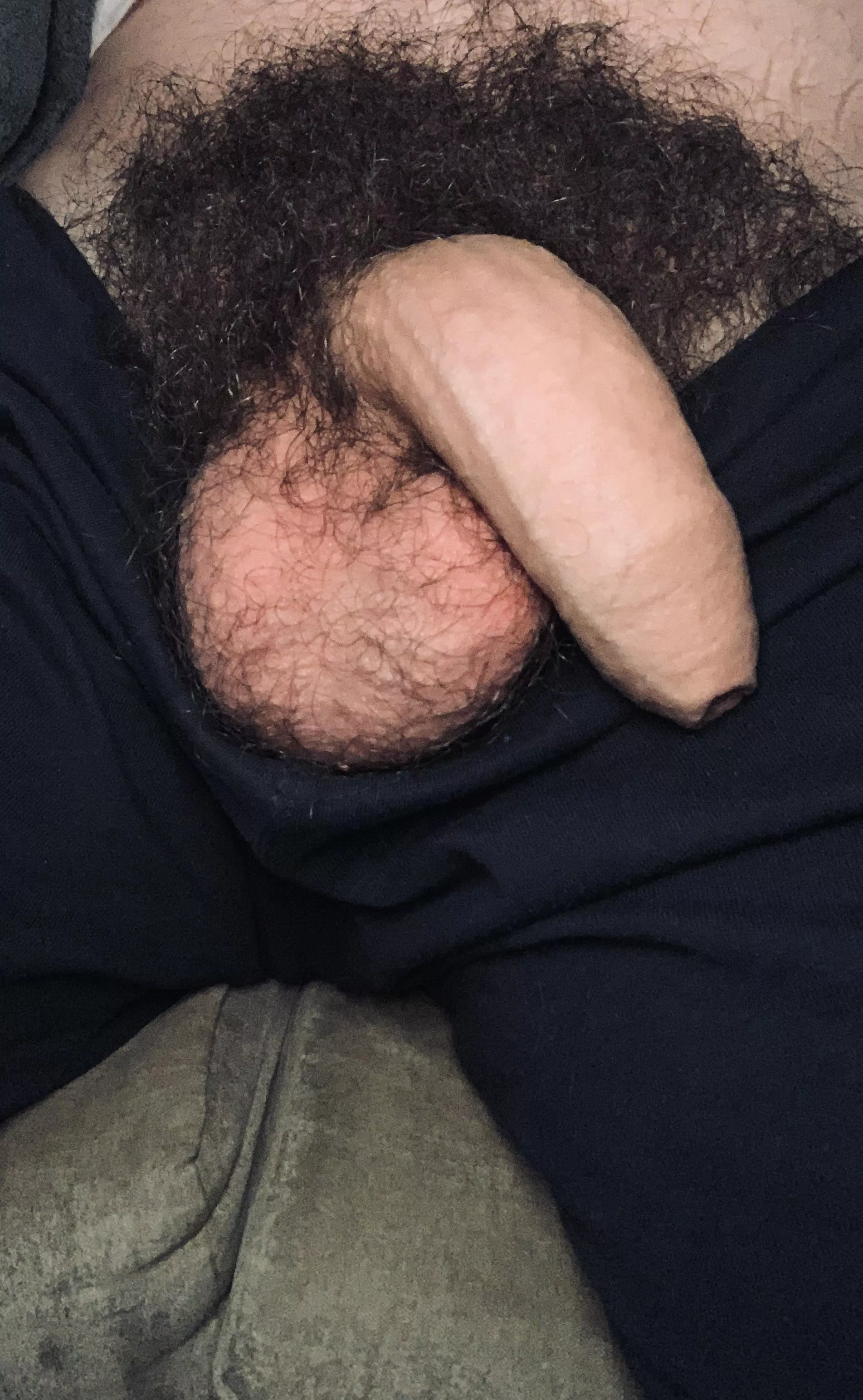 I heard you like hairy! Lick me Dm